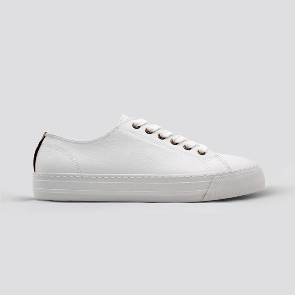 White Basic Canvas Casual Sneakers for Women